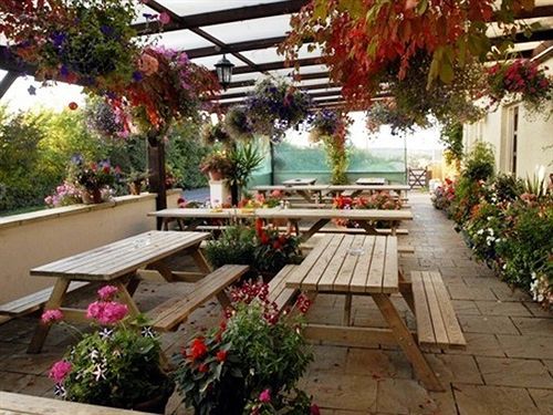 فندق The Flying Fish Stables إلمنستر المظهر الخارجي الصورة