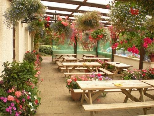 فندق The Flying Fish Stables إلمنستر المظهر الخارجي الصورة